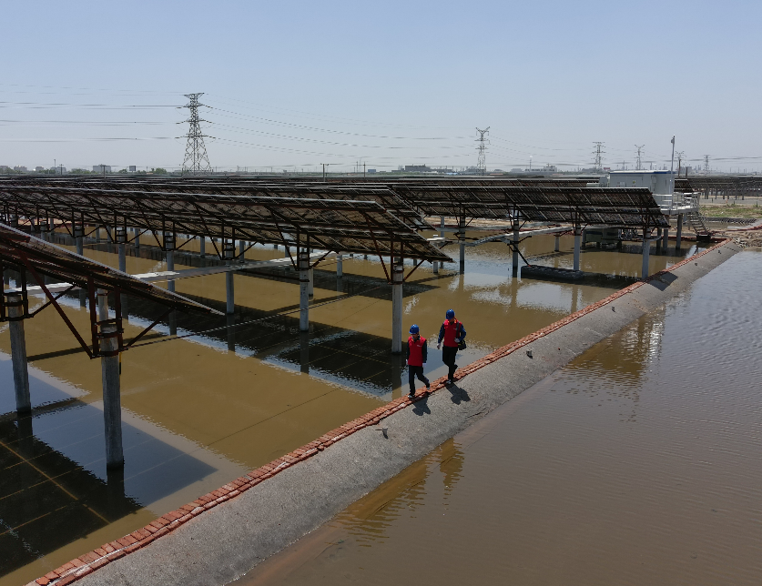 山东省电线电缆行业电竞赛事竞猜平台