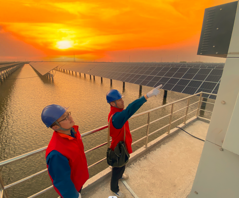 山东省电线电缆行业电竞赛事竞猜平台