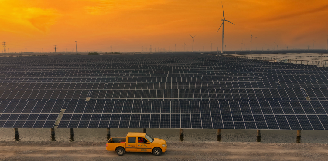 山东省电线电缆行业电竞赛事竞猜平台