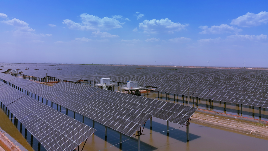 山东省电线电缆行业电竞赛事竞猜平台